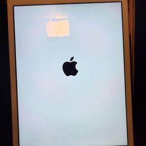 iPad Mini 3 with case included (16GB)
